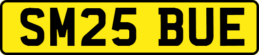 SM25BUE