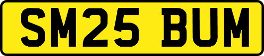 SM25BUM