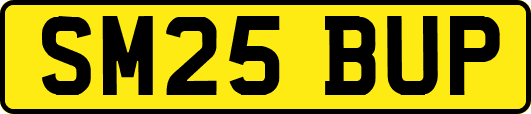 SM25BUP