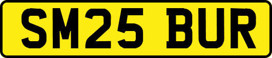 SM25BUR