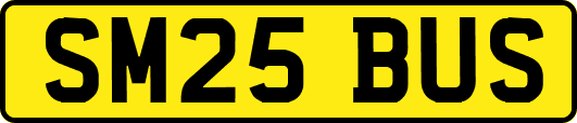 SM25BUS