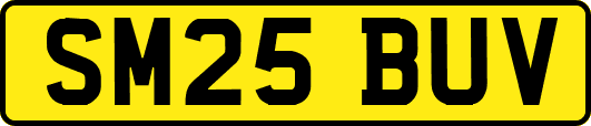 SM25BUV