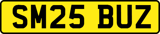 SM25BUZ