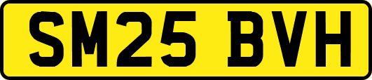 SM25BVH