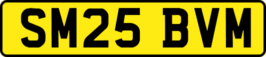 SM25BVM