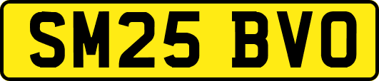 SM25BVO