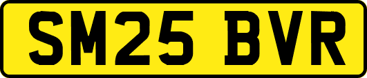 SM25BVR