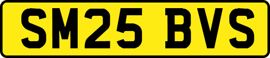 SM25BVS
