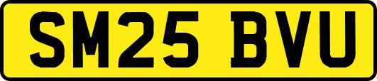 SM25BVU