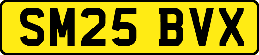 SM25BVX