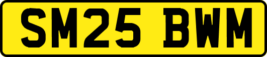 SM25BWM