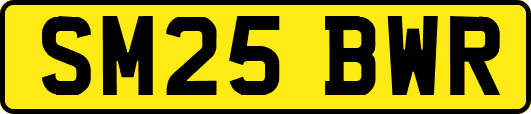 SM25BWR