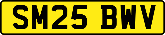 SM25BWV