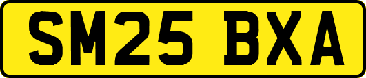 SM25BXA