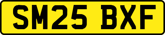 SM25BXF