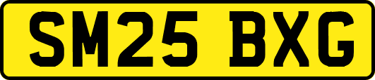 SM25BXG