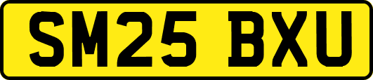 SM25BXU