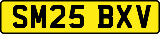 SM25BXV