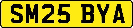SM25BYA