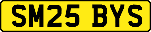 SM25BYS