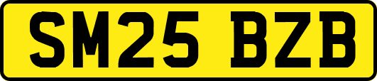 SM25BZB