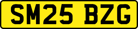 SM25BZG