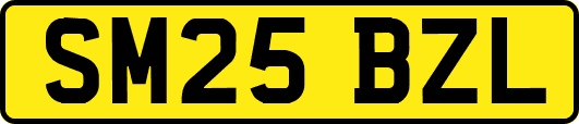 SM25BZL