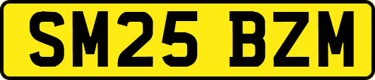 SM25BZM