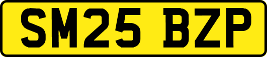 SM25BZP