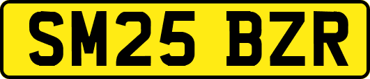 SM25BZR