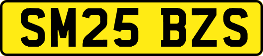 SM25BZS