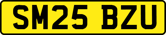 SM25BZU
