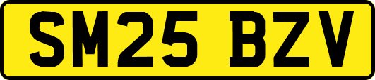 SM25BZV