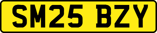 SM25BZY