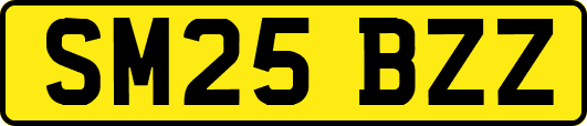 SM25BZZ