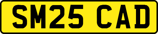 SM25CAD