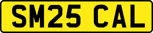 SM25CAL