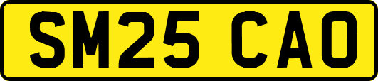 SM25CAO