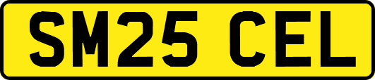 SM25CEL