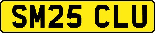 SM25CLU
