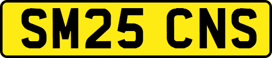 SM25CNS