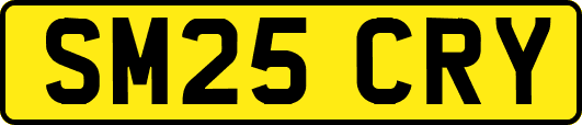 SM25CRY