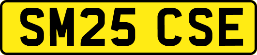 SM25CSE