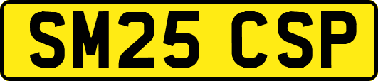 SM25CSP