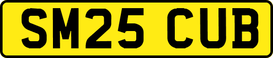 SM25CUB