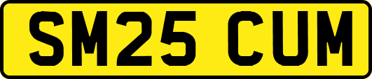 SM25CUM