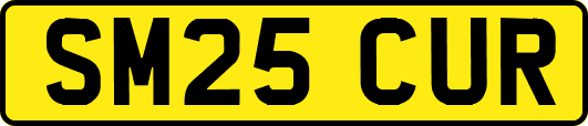 SM25CUR