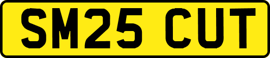 SM25CUT