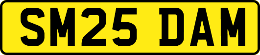 SM25DAM