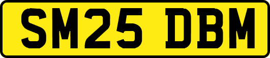 SM25DBM